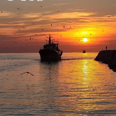 Camargue Village A Deux Pas De La Du Boucanet لو غراو دو روا