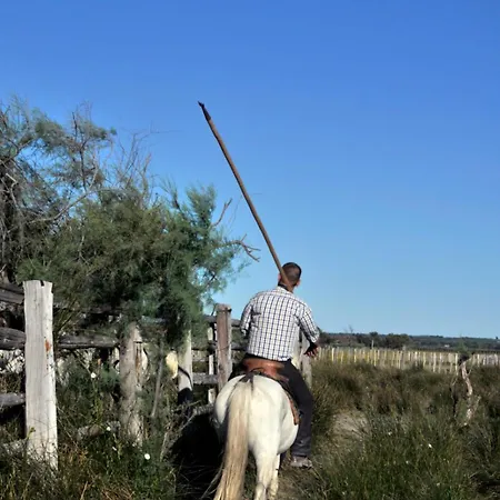 شقة Camargue Village A Deux Pas De La Du Boucanet