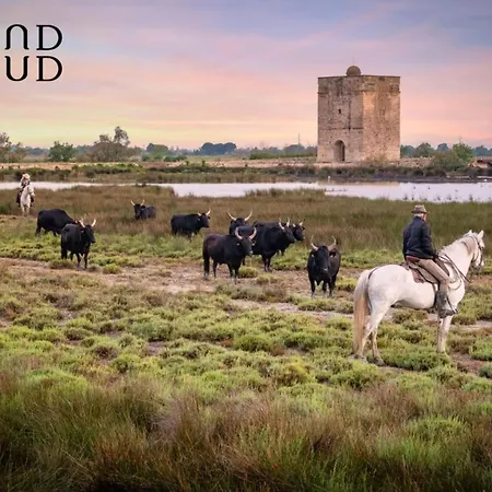 Camargue Village A Deux Pas De La Du Boucanet * لو غراو دو روا
