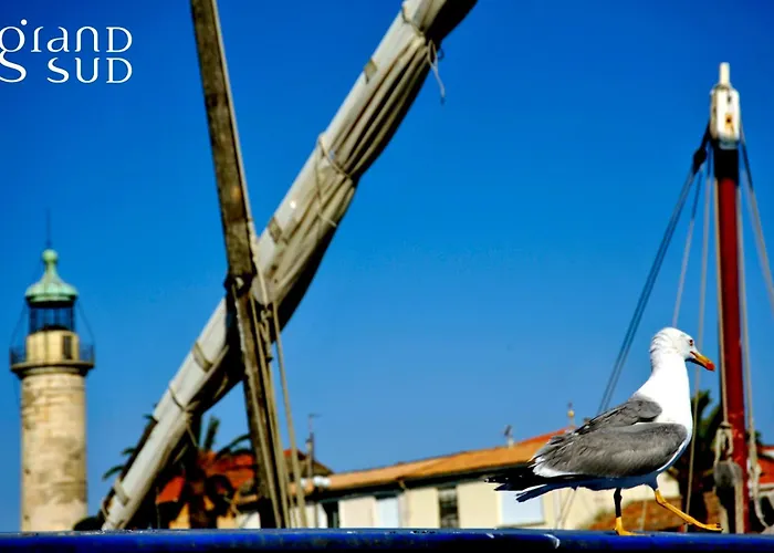 Διαμέρισμα Camargue Village A Deux Pas De La Du Boucanet *