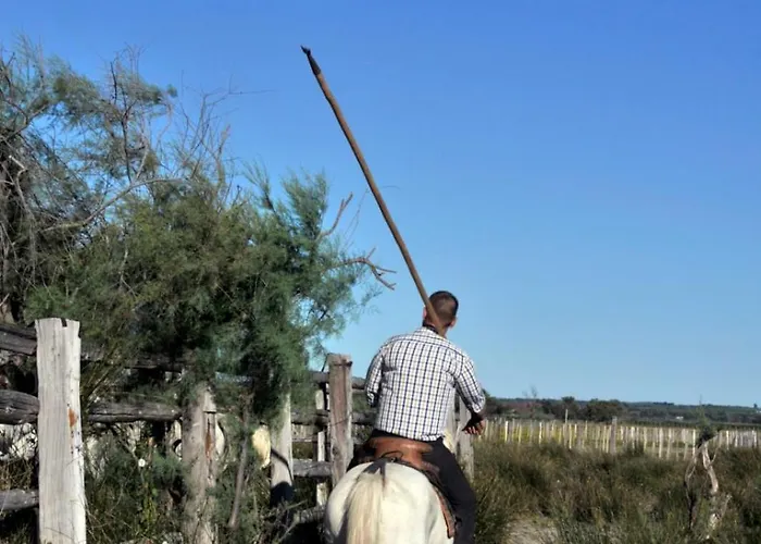 Διαμέρισμα Camargue Village A Deux Pas De La Du Boucanet