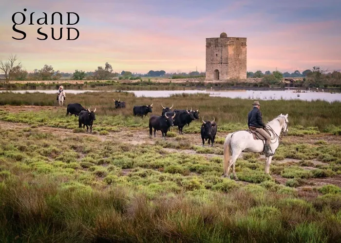 Camargue Village A Deux Pas De La Du Boucanet * Le Grau-du-Roi